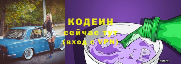 эйфоретик Арсеньев