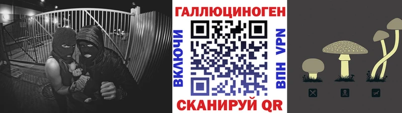 Псилоцибиновые грибы Magic Shrooms  blacksprut онион  Арск 